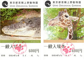 上野動物園のチケット