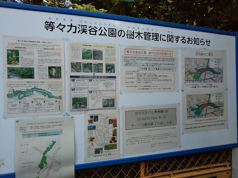 等々力渓谷（等々力渓谷公園）