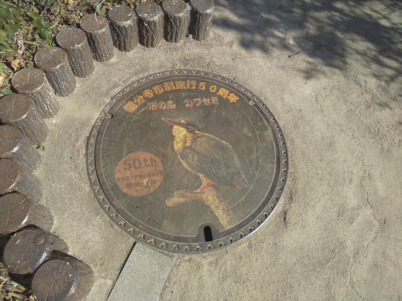 カワセミ（国分寺市制施行50周年）