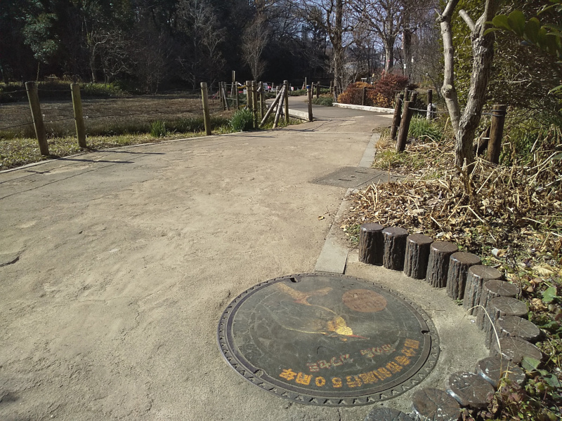 カワセミ（国分寺市制施行50周年）