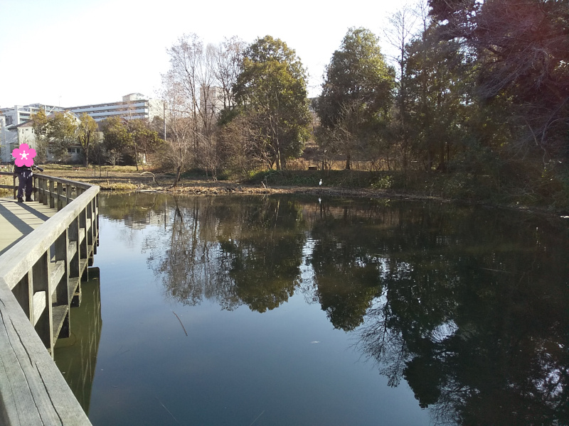 姿見の池（東京の名湧水57選）