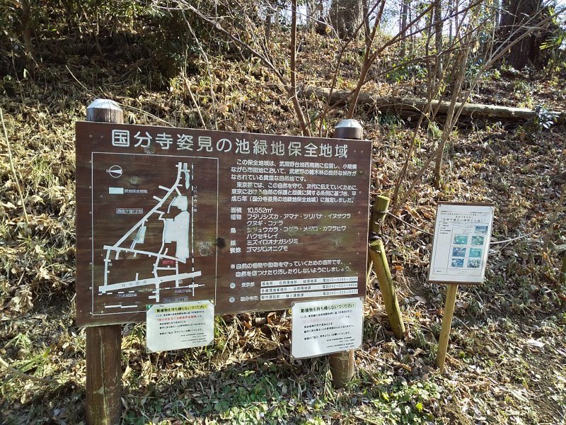 国分寺姿見の池緑地保全地域